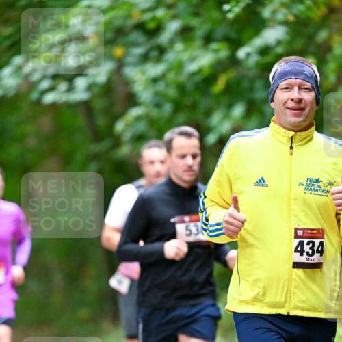 11.10.2026 - Bramfelder Halbmarathon 2026 Dr. Thomas Lammeyer http://msf.ph/oto/10816176 11.10.2026 09:51:57 Laufen 53, 36, 19, 20, 2009, 35, 434 meine-sportfotos.de