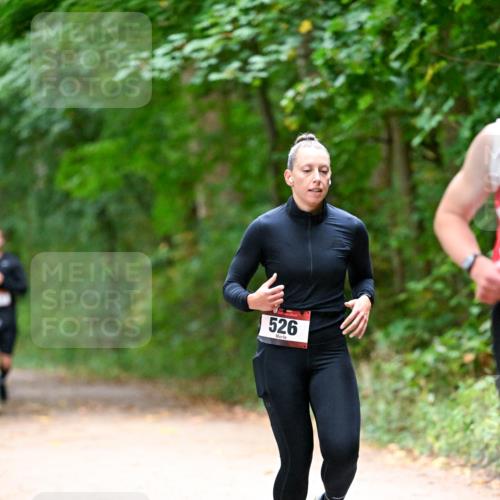 11.10.2026 - Bramfelder Halbmarathon 2026 Dr. Thomas Lammeyer http://msf.ph/oto/10816253 11.10.2026 09:52:11 Laufen 526 meine-sportfotos.de