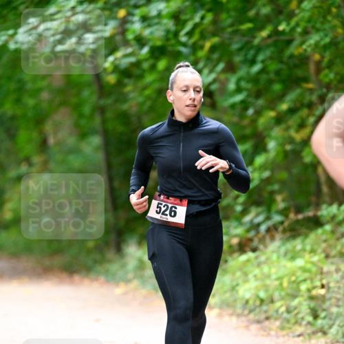 11.10.2026 - Bramfelder Halbmarathon 2026 Dr. Thomas Lammeyer http://msf.ph/oto/10816257 11.10.2026 09:52:12 Laufen 526 meine-sportfotos.de