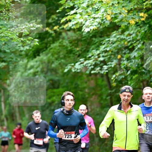 11.10.2026 - Bramfelder Halbmarathon 2026 Dr. Thomas Lammeyer http://msf.ph/oto/10816273 11.10.2026 09:52:26 Laufen 66, 725, 173 meine-sportfotos.de