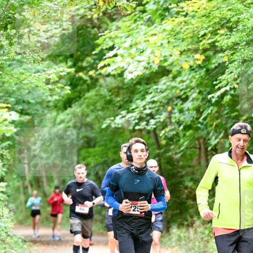 11.10.2026 - Bramfelder Halbmarathon 2026 Dr. Thomas Lammeyer http://msf.ph/oto/10816282 11.10.2026 09:52:27 Laufen 66, 7, 25 meine-sportfotos.de
