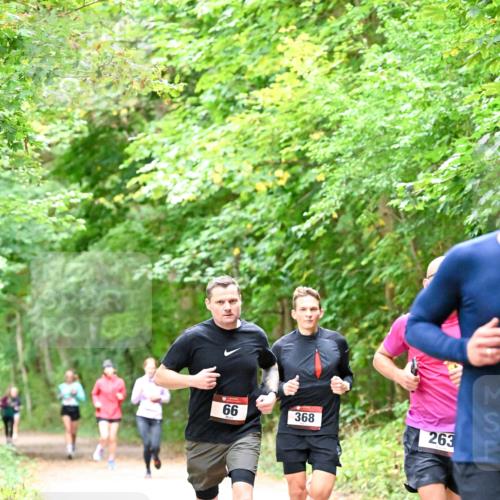 11.10.2026 - Bramfelder Halbmarathon 2026 Dr. Thomas Lammeyer http://msf.ph/oto/10816300 11.10.2026 09:52:30 Laufen 66, 368, 263 meine-sportfotos.de