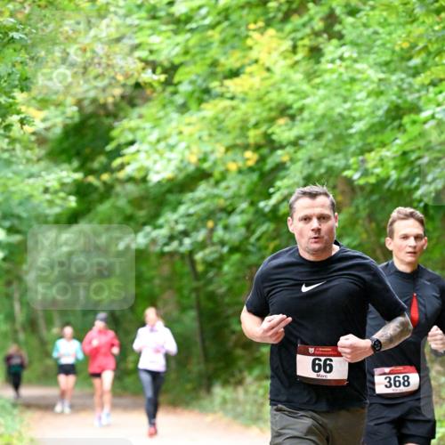 11.10.2026 - Bramfelder Halbmarathon 2026 Dr. Thomas Lammeyer http://msf.ph/oto/10816305 11.10.2026 09:52:32 Laufen 66, 368 meine-sportfotos.de