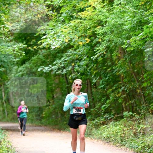 11.10.2026 - Bramfelder Halbmarathon 2026 Dr. Thomas Lammeyer http://msf.ph/oto/10816325 11.10.2026 09:52:38 Laufen 309 meine-sportfotos.de