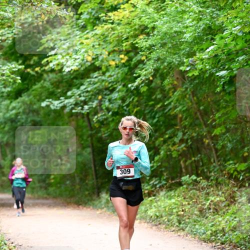 11.10.2026 - Bramfelder Halbmarathon 2026 Dr. Thomas Lammeyer http://msf.ph/oto/10816328 11.10.2026 09:52:39 Laufen 309 meine-sportfotos.de