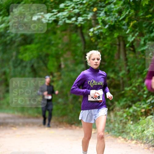 11.10.2026 - Bramfelder Halbmarathon 2026 Dr. Thomas Lammeyer http://msf.ph/oto/10816356 11.10.2026 09:52:45 Laufen  meine-sportfotos.de