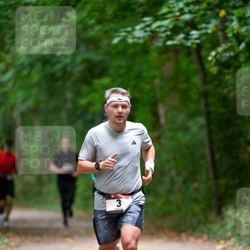 11.10.2026 - Bramfelder Halbmarathon 2026 Dr. Thomas Lammeyer http://msf.ph/oto/10816409 11.10.2026 09:53:02 Laufen 3 meine-sportfotos.de
