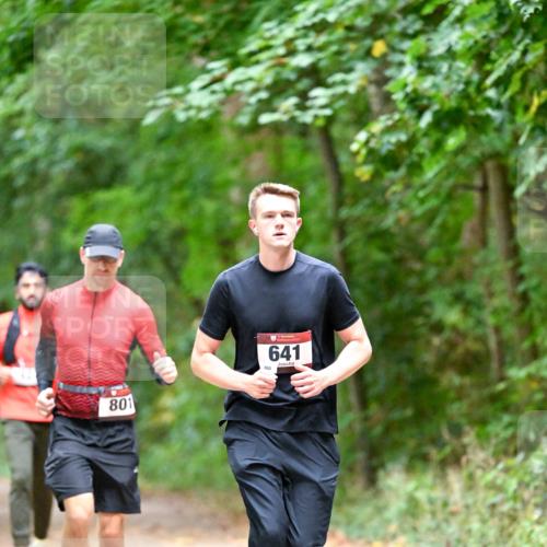 11.10.2026 - Bramfelder Halbmarathon 2026 Dr. Thomas Lammeyer http://msf.ph/oto/10816440 11.10.2026 09:53:09 Laufen 801, 260, 641 meine-sportfotos.de