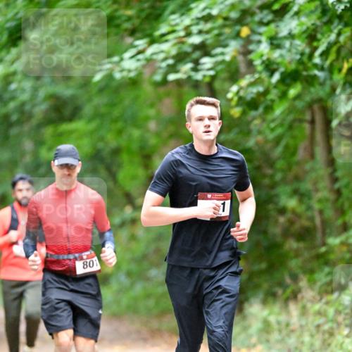 11.10.2026 - Bramfelder Halbmarathon 2026 Dr. Thomas Lammeyer http://msf.ph/oto/10816442 11.10.2026 09:53:10 Laufen 801 meine-sportfotos.de