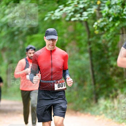 11.10.2026 - Bramfelder Halbmarathon 2026 Dr. Thomas Lammeyer http://msf.ph/oto/10816449 11.10.2026 09:53:11 Laufen 73, 801 meine-sportfotos.de