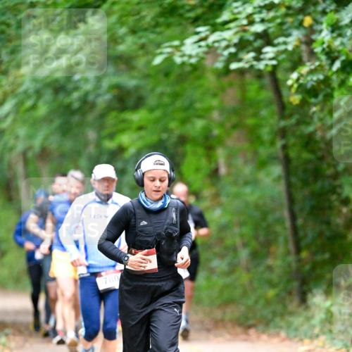 11.10.2026 - Bramfelder Halbmarathon 2026 Dr. Thomas Lammeyer http://msf.ph/oto/10816476 11.10.2026 09:53:19 Laufen 0, 780 meine-sportfotos.de