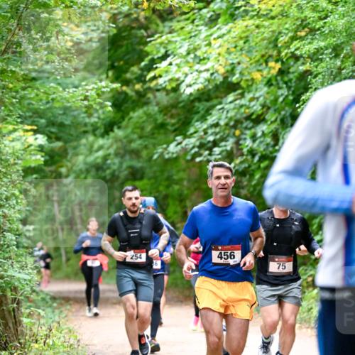 11.10.2026 - Bramfelder Halbmarathon 2026 Dr. Thomas Lammeyer http://msf.ph/oto/10816505 11.10.2026 09:53:25 Laufen 254, 86, 456, 75 meine-sportfotos.de