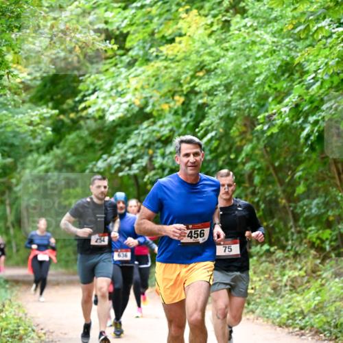 11.10.2026 - Bramfelder Halbmarathon 2026 Dr. Thomas Lammeyer http://msf.ph/oto/10816512 11.10.2026 09:53:26 Laufen 254, 636, 456, 75 meine-sportfotos.de