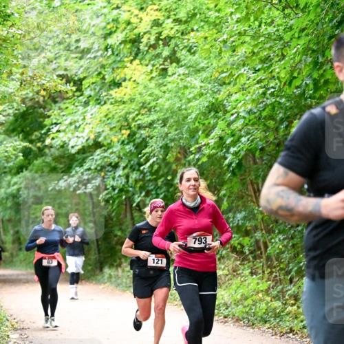 11.10.2026 - Bramfelder Halbmarathon 2026 Dr. Thomas Lammeyer http://msf.ph/oto/10816533 11.10.2026 09:53:29 Laufen 83, 121, 793 meine-sportfotos.de