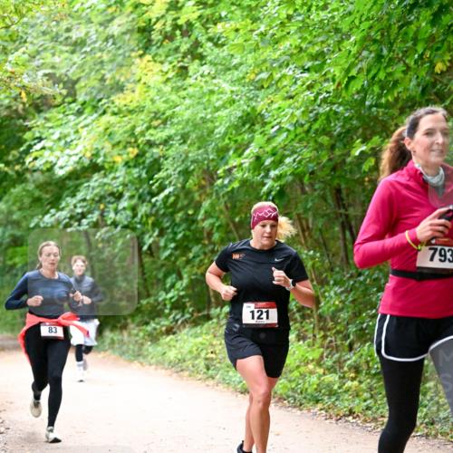 11.10.2026 - Bramfelder Halbmarathon 2026 Dr. Thomas Lammeyer http://msf.ph/oto/10816537 11.10.2026 09:53:30 Laufen 83, 121, 793 meine-sportfotos.de