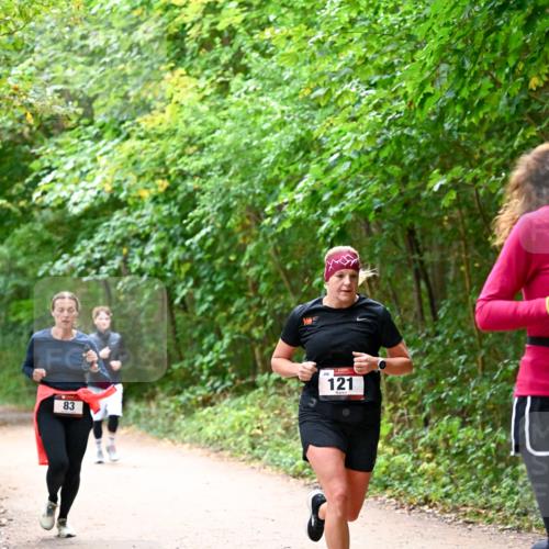 11.10.2026 - Bramfelder Halbmarathon 2026 Dr. Thomas Lammeyer http://msf.ph/oto/10816538 11.10.2026 09:53:30 Laufen 83, 121 meine-sportfotos.de