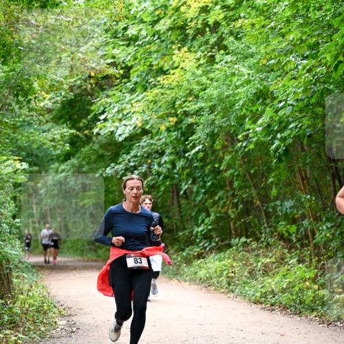 11.10.2026 - Bramfelder Halbmarathon 2026 Dr. Thomas Lammeyer http://msf.ph/oto/10816540 11.10.2026 09:53:31 Laufen 83 meine-sportfotos.de