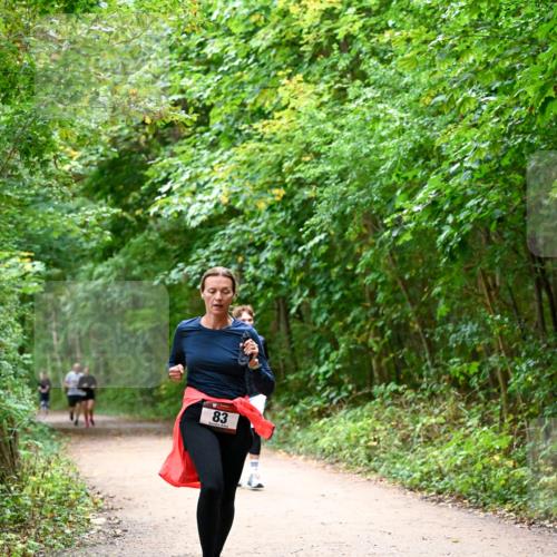11.10.2026 - Bramfelder Halbmarathon 2026 Dr. Thomas Lammeyer http://msf.ph/oto/10816541 11.10.2026 09:53:31 Laufen 83 meine-sportfotos.de