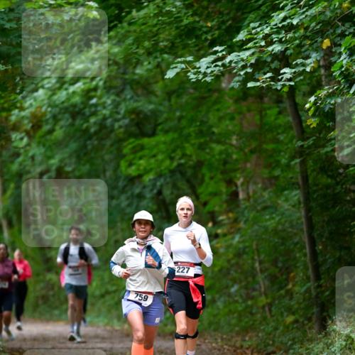 11.10.2026 - Bramfelder Halbmarathon 2026 Dr. Thomas Lammeyer http://msf.ph/oto/10816613 11.10.2026 09:53:55 Laufen 759, 227 meine-sportfotos.de