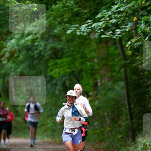 11.10.2026 - Bramfelder Halbmarathon 2026 Dr. Thomas Lammeyer http://msf.ph/oto/10816619 11.10.2026 09:53:56 Laufen 759 meine-sportfotos.de