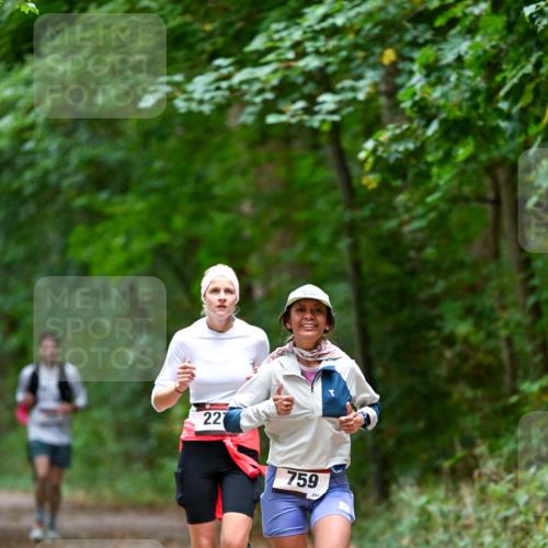 11.10.2026 - Bramfelder Halbmarathon 2026 Dr. Thomas Lammeyer http://msf.ph/oto/10816630 11.10.2026 09:53:57 Laufen 227, 759 meine-sportfotos.de