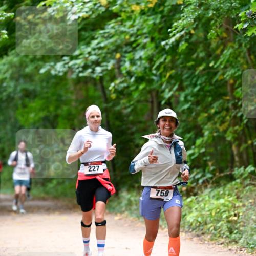 11.10.2026 - Bramfelder Halbmarathon 2026 Dr. Thomas Lammeyer http://msf.ph/oto/10816641 11.10.2026 09:53:58 Laufen 227, 759, 244 meine-sportfotos.de