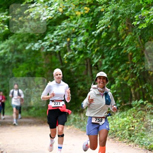 11.10.2026 - Bramfelder Halbmarathon 2026 Dr. Thomas Lammeyer http://msf.ph/oto/10816642 11.10.2026 09:53:59 Laufen 227, 759 meine-sportfotos.de