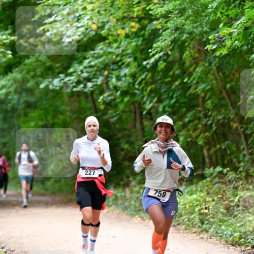 11.10.2026 - Bramfelder Halbmarathon 2026 Dr. Thomas Lammeyer http://msf.ph/oto/10816643 11.10.2026 09:53:59 Laufen 227, 759, 244 meine-sportfotos.de