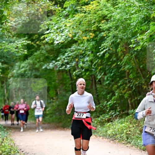11.10.2026 - Bramfelder Halbmarathon 2026 Dr. Thomas Lammeyer http://msf.ph/oto/10816648 11.10.2026 09:54:00 Laufen 227, 75 meine-sportfotos.de