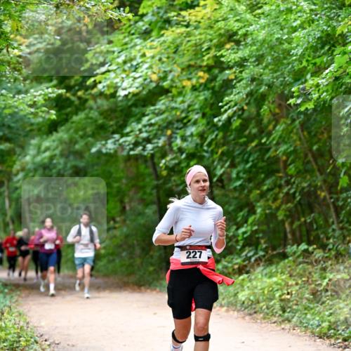 11.10.2026 - Bramfelder Halbmarathon 2026 Dr. Thomas Lammeyer http://msf.ph/oto/10816650 11.10.2026 09:54:00 Laufen 227 meine-sportfotos.de