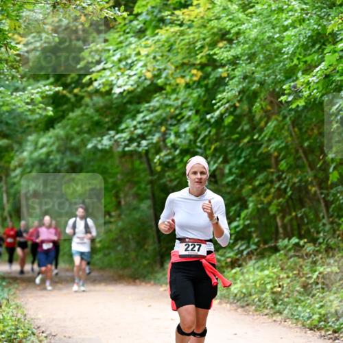 11.10.2026 - Bramfelder Halbmarathon 2026 Dr. Thomas Lammeyer http://msf.ph/oto/10816651 11.10.2026 09:54:00 Laufen 227 meine-sportfotos.de