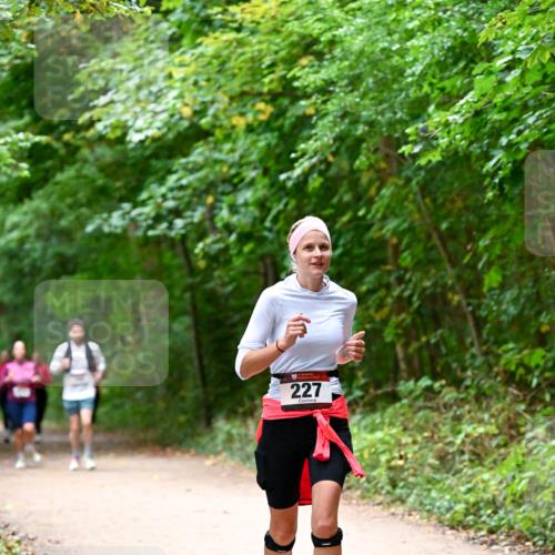 11.10.2026 - Bramfelder Halbmarathon 2026 Dr. Thomas Lammeyer http://msf.ph/oto/10816654 11.10.2026 09:54:01 Laufen 227 meine-sportfotos.de