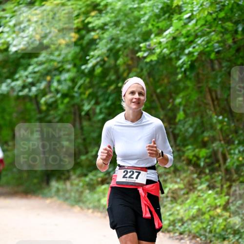 11.10.2026 - Bramfelder Halbmarathon 2026 Dr. Thomas Lammeyer http://msf.ph/oto/10816658 11.10.2026 09:54:01 Laufen 227 meine-sportfotos.de