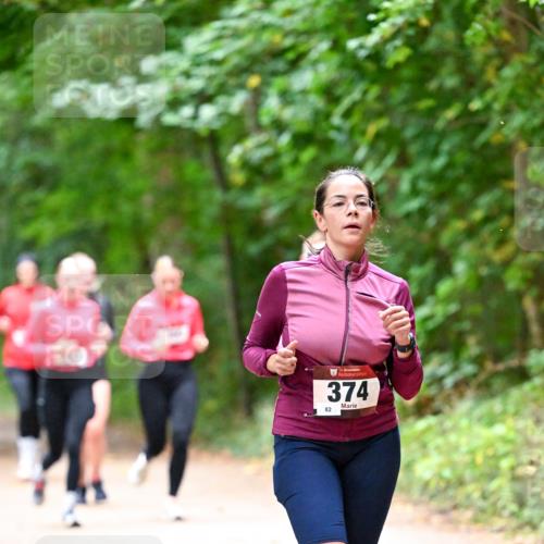 11.10.2026 - Bramfelder Halbmarathon 2026 Dr. Thomas Lammeyer http://msf.ph/oto/10816687 11.10.2026 09:54:07 Laufen 374, 82 meine-sportfotos.de