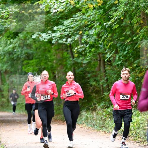 11.10.2026 - Bramfelder Halbmarathon 2026 Dr. Thomas Lammeyer http://msf.ph/oto/10816691 11.10.2026 09:54:08 Laufen 323, 36, 270 meine-sportfotos.de