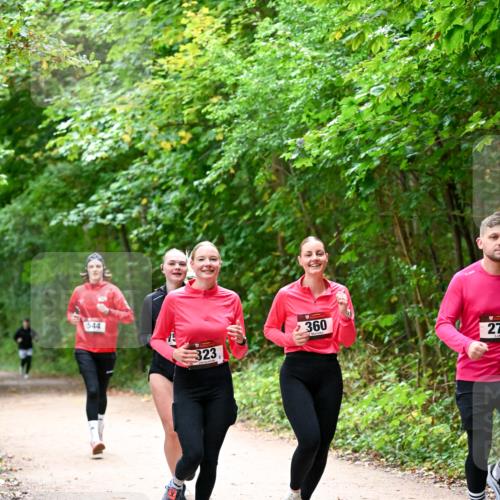 11.10.2026 - Bramfelder Halbmarathon 2026 Dr. Thomas Lammeyer http://msf.ph/oto/10816703 11.10.2026 09:54:11 Laufen 544, 360, 323, 27 meine-sportfotos.de
