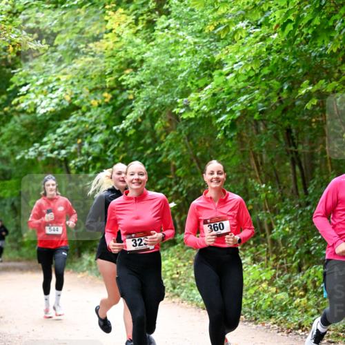 11.10.2026 - Bramfelder Halbmarathon 2026 Dr. Thomas Lammeyer http://msf.ph/oto/10816705 11.10.2026 09:54:11 Laufen 544, 323, 360 meine-sportfotos.de