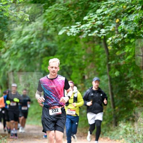 11.10.2026 - Bramfelder Halbmarathon 2026 Dr. Thomas Lammeyer http://msf.ph/oto/10816720 11.10.2026 09:54:19 Laufen 222, 195 meine-sportfotos.de