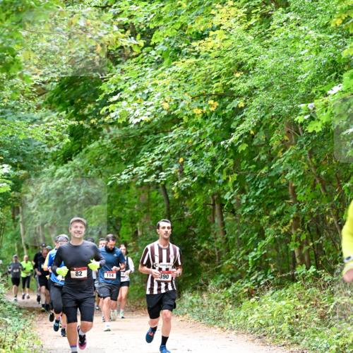 11.10.2026 - Bramfelder Halbmarathon 2026 Dr. Thomas Lammeyer http://msf.ph/oto/10816759 11.10.2026 09:54:25 Laufen 82, 114, 390 meine-sportfotos.de