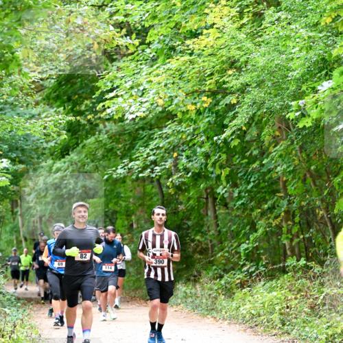 11.10.2026 - Bramfelder Halbmarathon 2026 Dr. Thomas Lammeyer http://msf.ph/oto/10816760 11.10.2026 09:54:25 Laufen 69, 82, 114, 390 meine-sportfotos.de