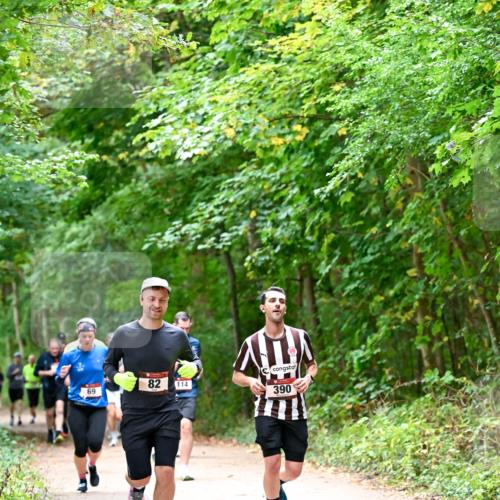 11.10.2026 - Bramfelder Halbmarathon 2026 Dr. Thomas Lammeyer http://msf.ph/oto/10816767 11.10.2026 09:54:26 Laufen 82, 69, 114, 390 meine-sportfotos.de