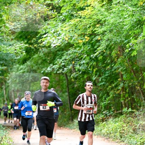 11.10.2026 - Bramfelder Halbmarathon 2026 Dr. Thomas Lammeyer http://msf.ph/oto/10816769 11.10.2026 09:54:26 Laufen 69, 82, 4, 390 meine-sportfotos.de
