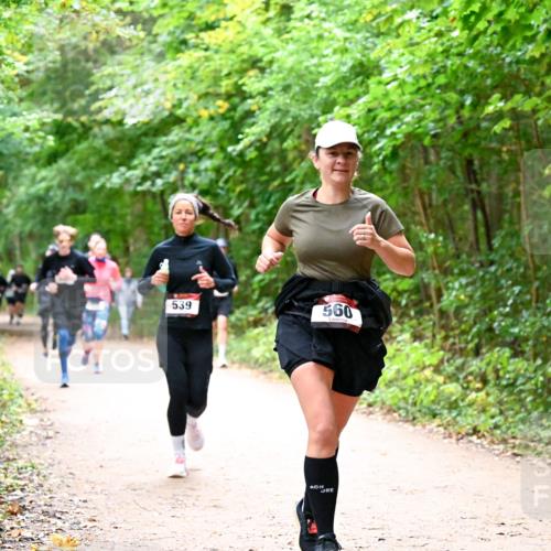 11.10.2026 - Bramfelder Halbmarathon 2026 Dr. Thomas Lammeyer http://msf.ph/oto/10816862 11.10.2026 09:54:48 Laufen 539, 560 meine-sportfotos.de