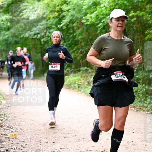 11.10.2026 - Bramfelder Halbmarathon 2026 Dr. Thomas Lammeyer http://msf.ph/oto/10816866 11.10.2026 09:54:48 Laufen 539, 360 meine-sportfotos.de
