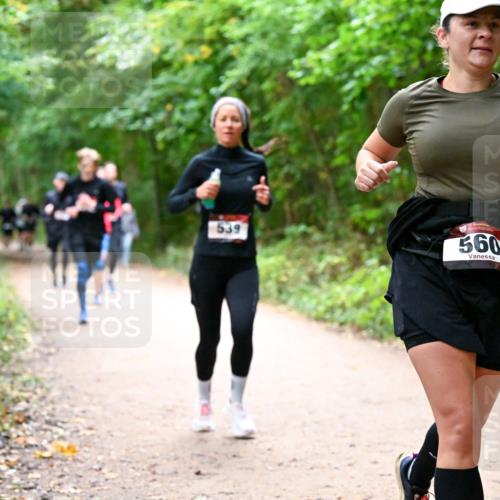 11.10.2026 - Bramfelder Halbmarathon 2026 Dr. Thomas Lammeyer http://msf.ph/oto/10816868 11.10.2026 09:54:49 Laufen 539, 360 meine-sportfotos.de