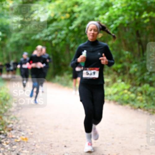 11.10.2026 - Bramfelder Halbmarathon 2026 Dr. Thomas Lammeyer http://msf.ph/oto/10816872 11.10.2026 09:54:49 Laufen 539 meine-sportfotos.de