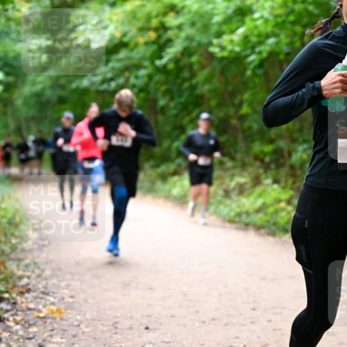 11.10.2026 - Bramfelder Halbmarathon 2026 Dr. Thomas Lammeyer http://msf.ph/oto/10816878 11.10.2026 09:54:50 Laufen 539 meine-sportfotos.de