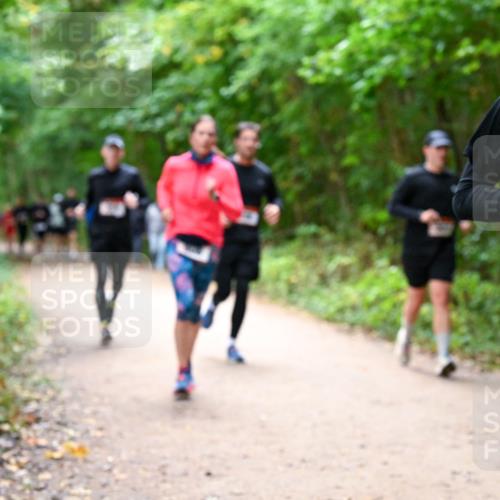 11.10.2026 - Bramfelder Halbmarathon 2026 Dr. Thomas Lammeyer http://msf.ph/oto/10816891 11.10.2026 09:54:52 Laufen 243 meine-sportfotos.de