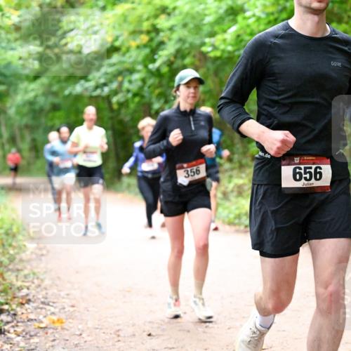 11.10.2026 - Bramfelder Halbmarathon 2026 Dr. Thomas Lammeyer http://msf.ph/oto/10817001 11.10.2026 09:55:17 Laufen 356, 656 meine-sportfotos.de