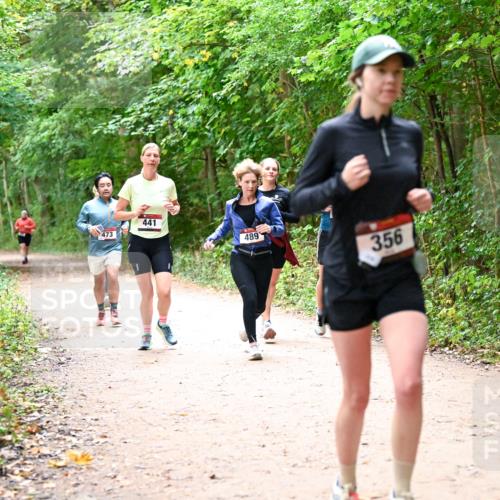 11.10.2026 - Bramfelder Halbmarathon 2026 Dr. Thomas Lammeyer http://msf.ph/oto/10817004 11.10.2026 09:55:18 Laufen 473, 441, 489, 356 meine-sportfotos.de